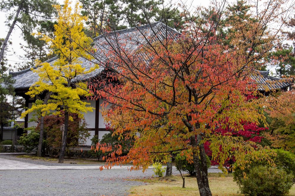 広隆寺の画像 - 2枚目
