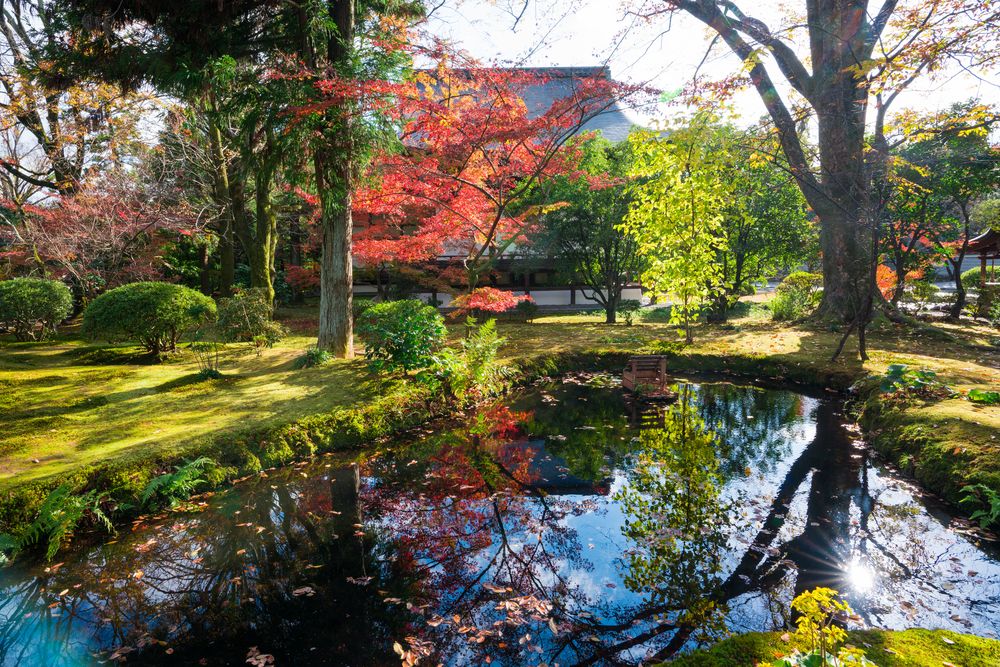 広隆寺の画像 - 5枚目