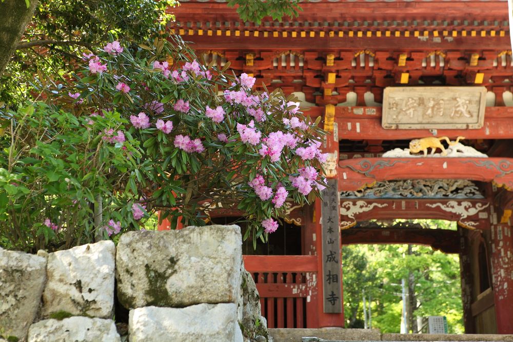 成相寺の画像 - 2枚目
