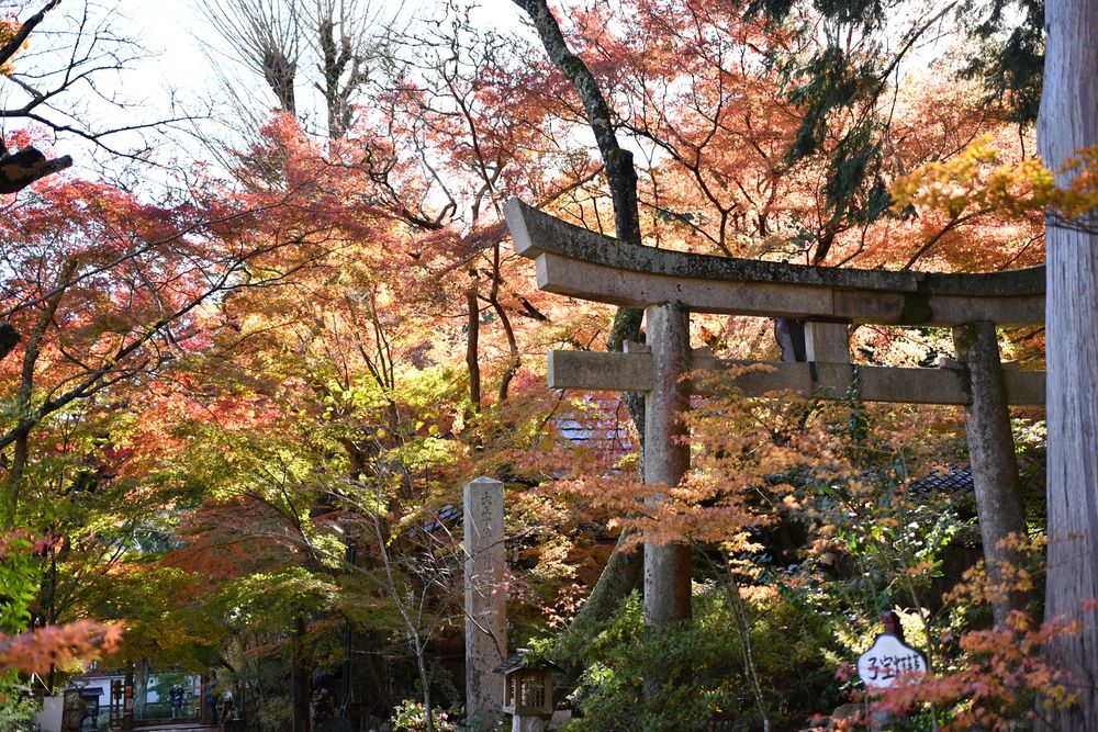 白山神社の画像 - 2枚目