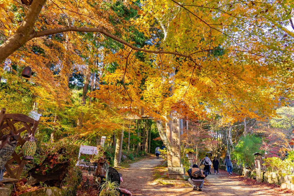 白山神社の画像 - 3枚目