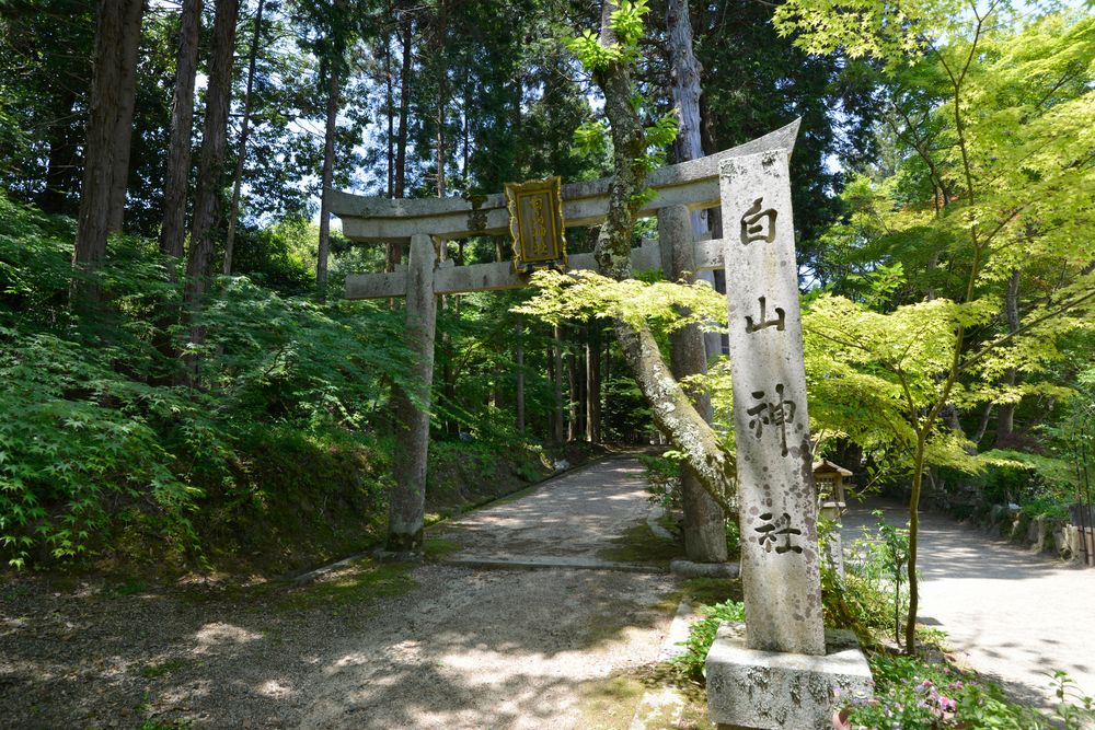 白山神社の画像 - 4枚目