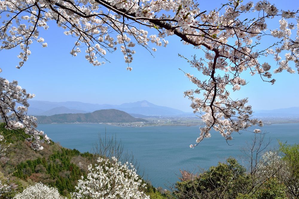 奥琵琶湖パークウェイの画像 - 2枚目