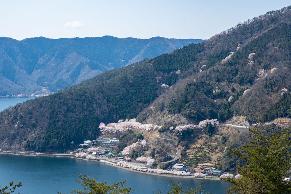 奥琵琶湖パークウェイの画像 - 3枚目