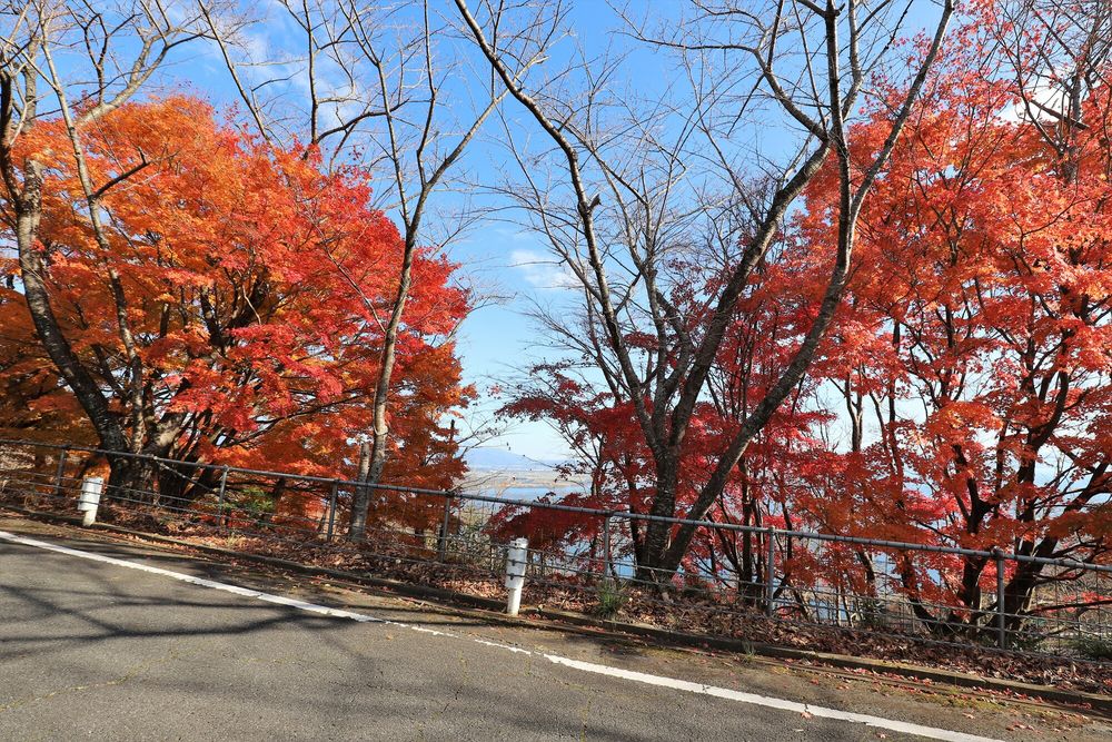 奥琵琶湖パークウェイの画像 - 4枚目