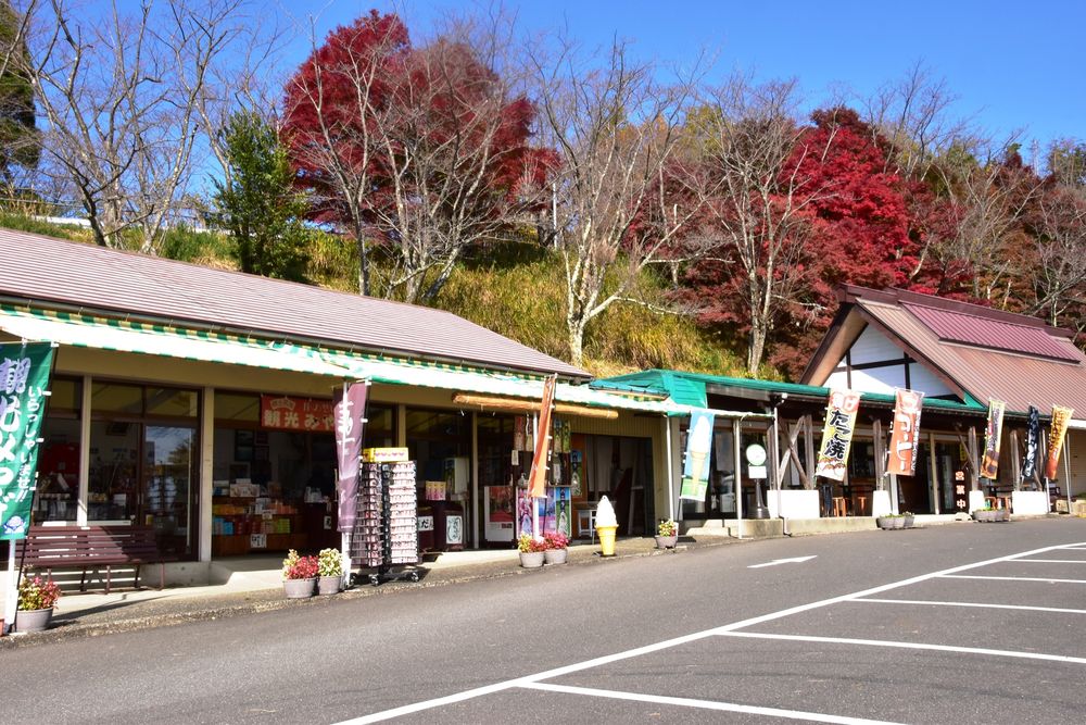 奥琵琶湖パークウェイの画像 - 5枚目