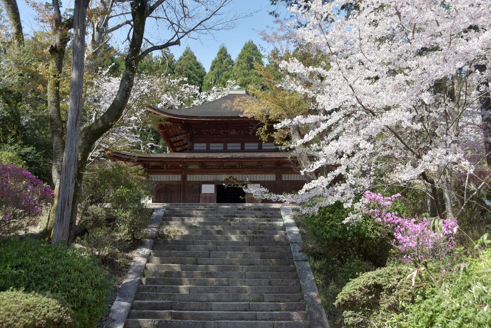 金堂の画像 - 4枚目