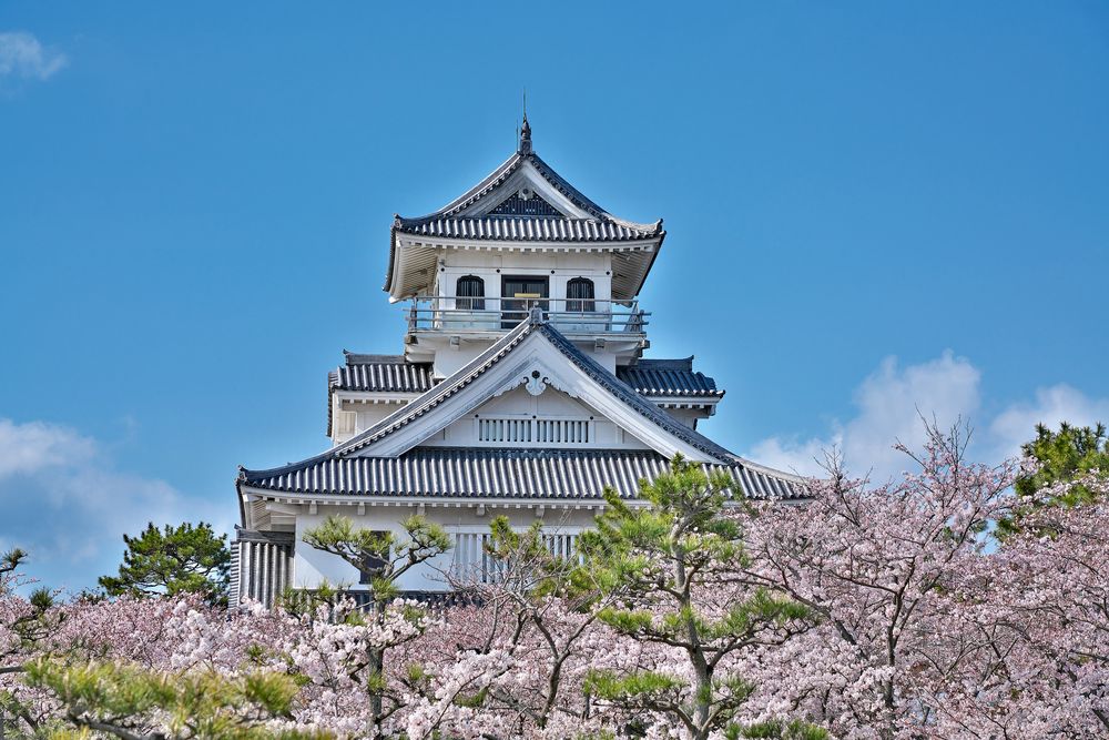 豊公園の画像 - 5枚目