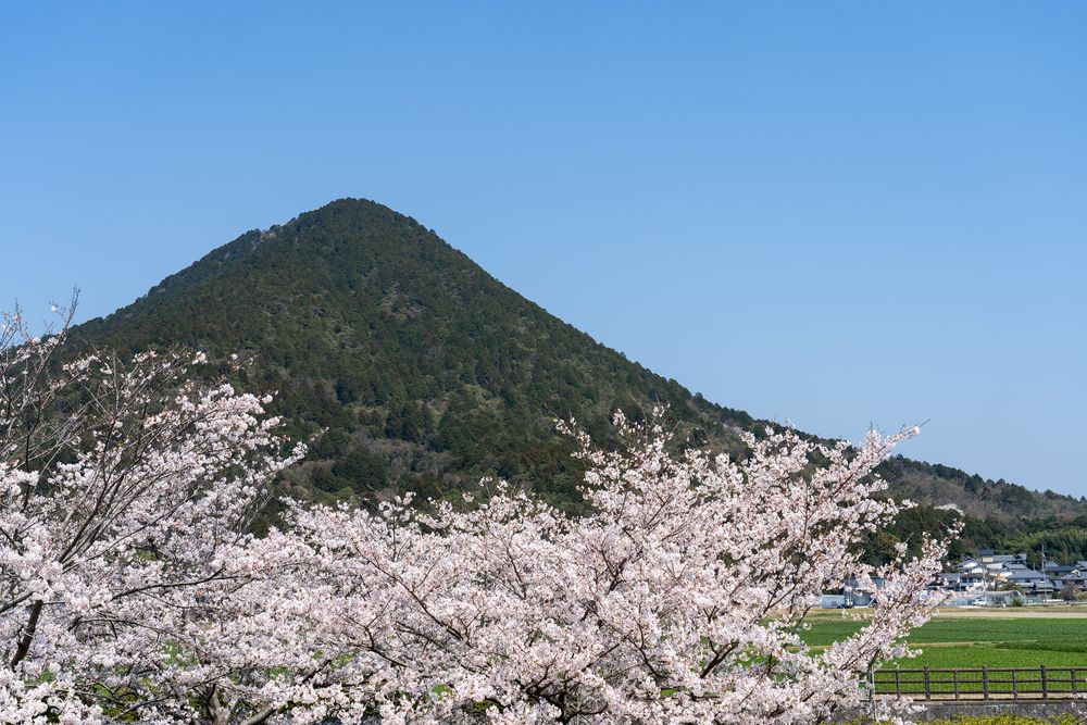 三上山の画像 - 3枚目