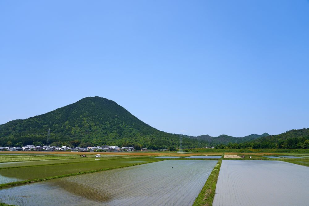 三上山の画像 - 4枚目