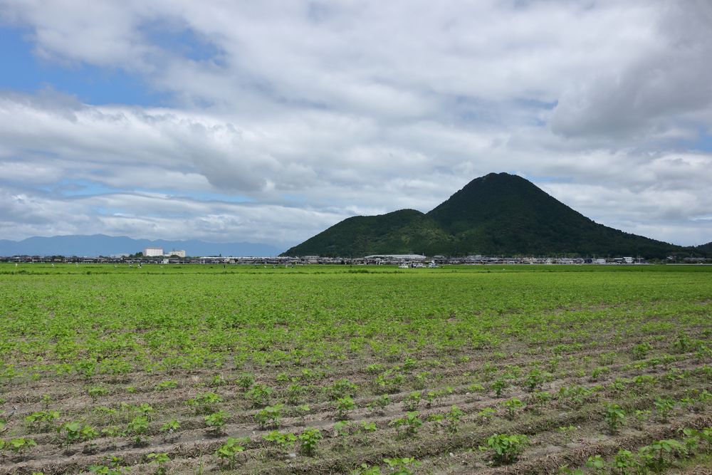 三上山の画像 - 5枚目