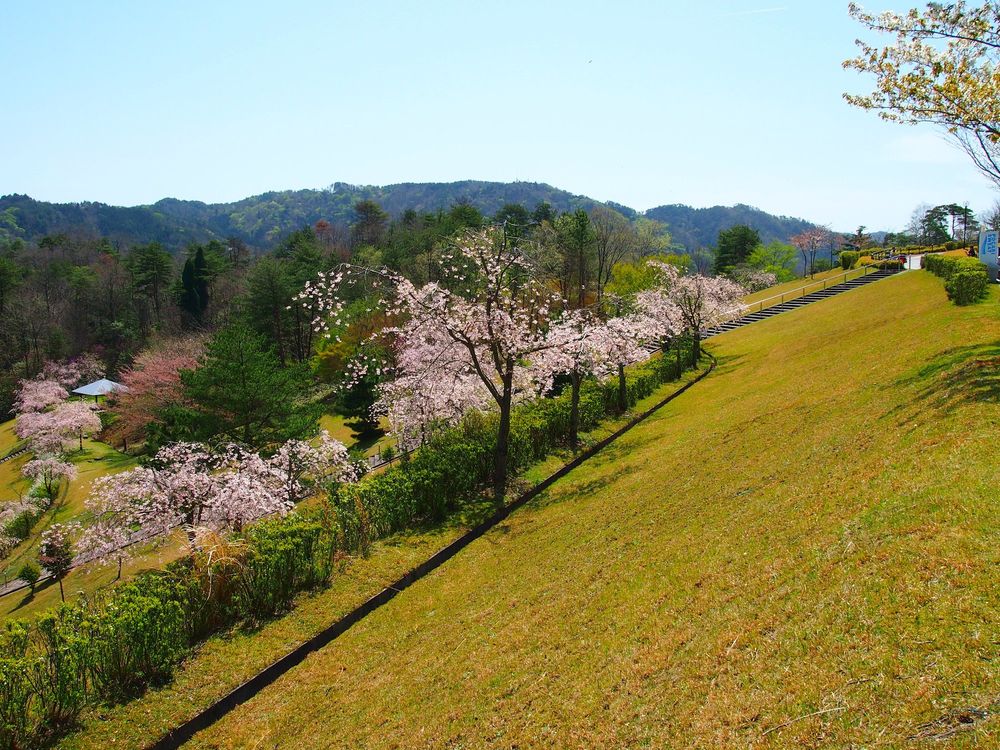 滋賀県立陶芸の森の画像 - 2枚目
