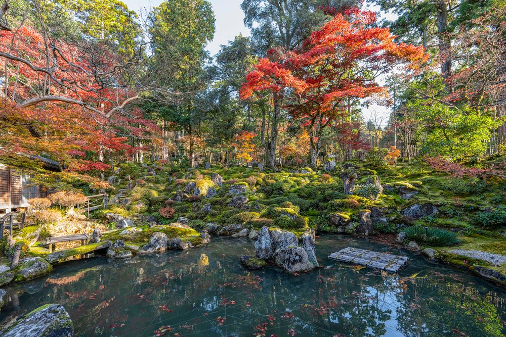 西明寺の画像 - 3枚目