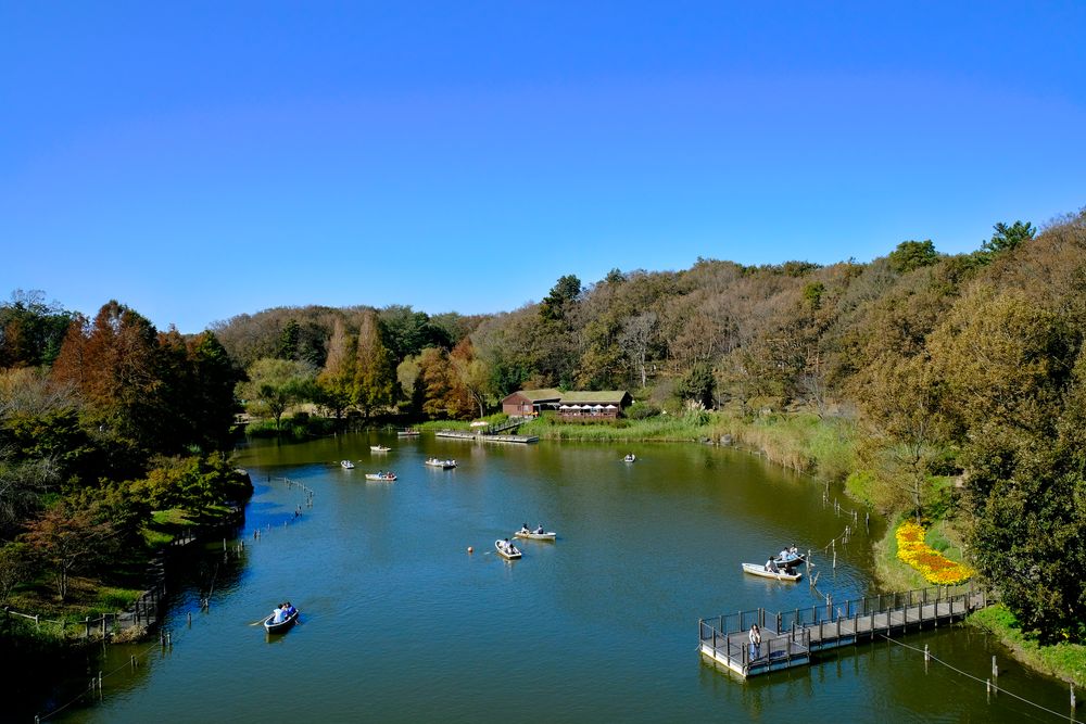 ふなばしアンデルセン公園の画像 - 2枚目