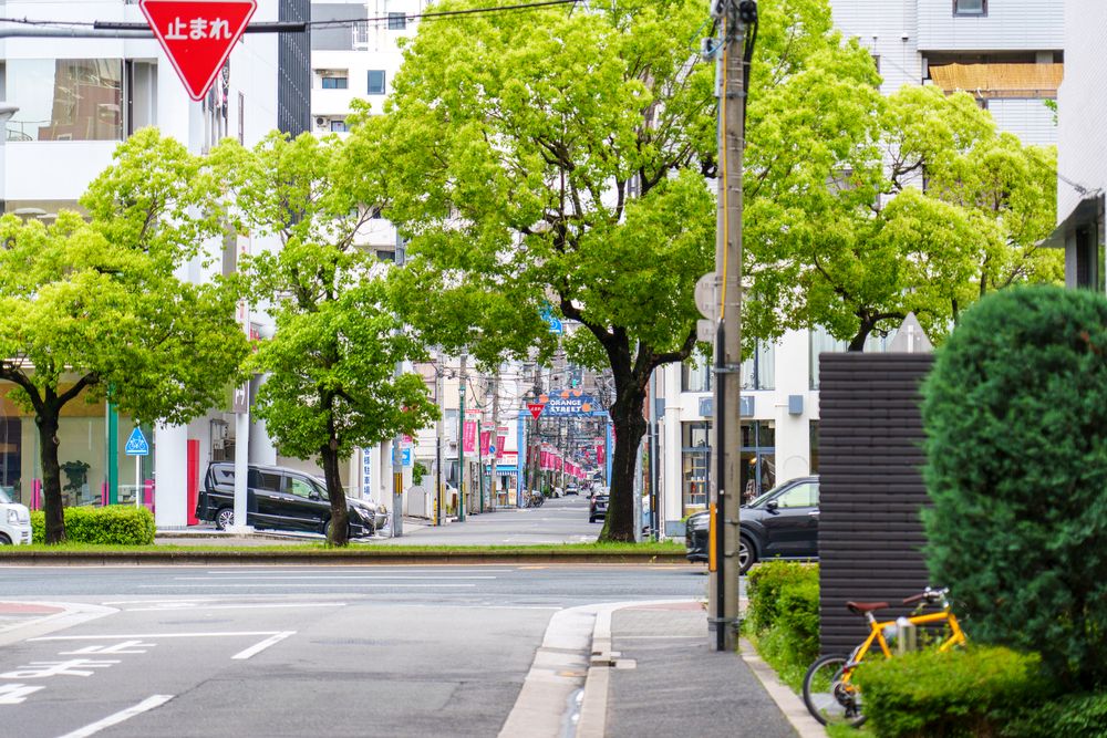 オレンジストリート 立花通りの画像 - 4枚目