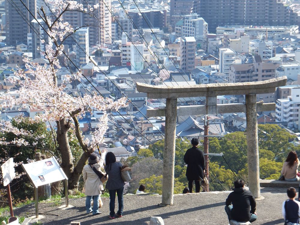 五月山公園の画像 - 2枚目