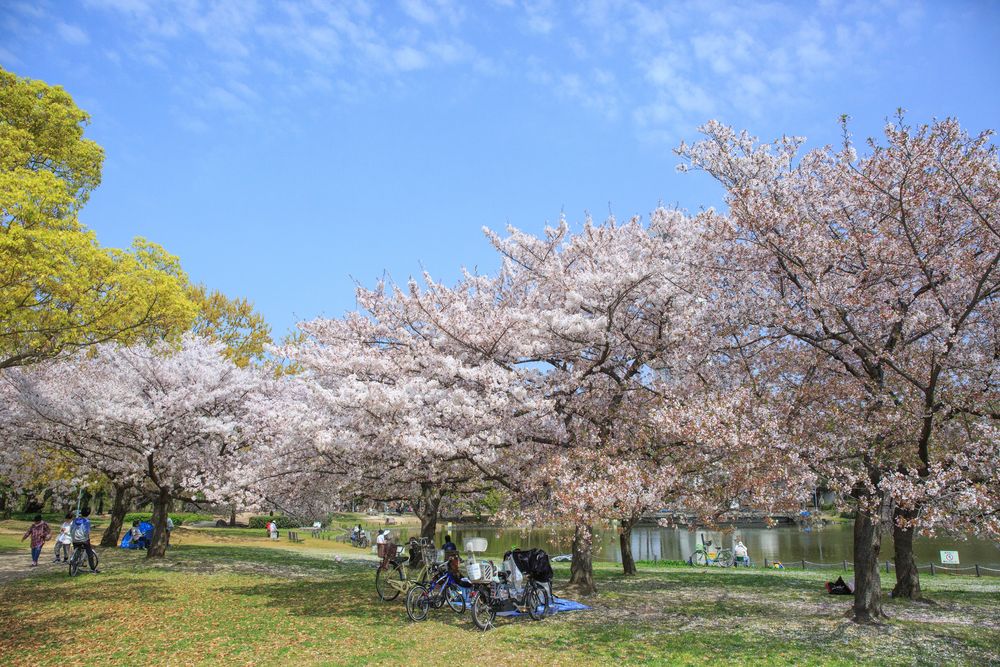 大仙公園の画像 - 2枚目