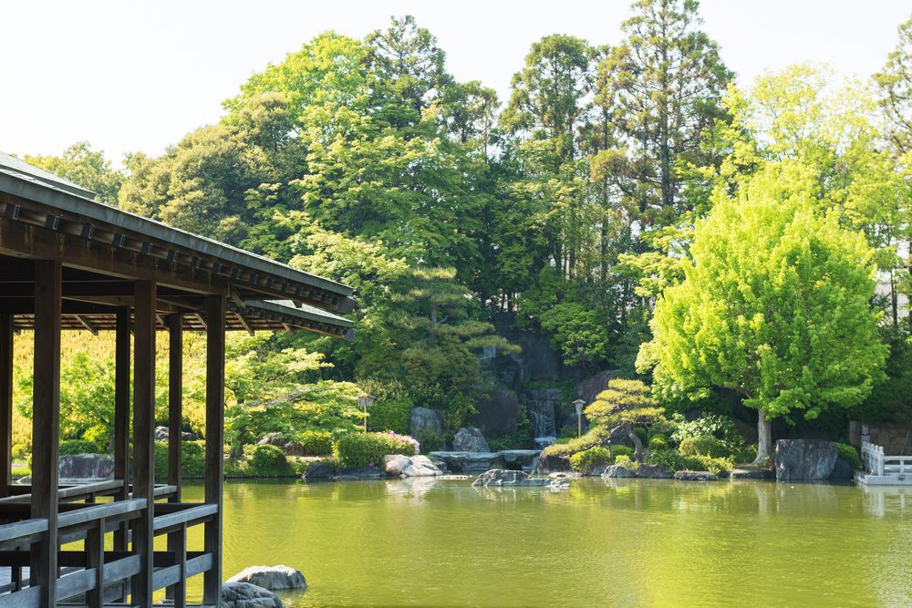 大仙公園の画像 - 5枚目