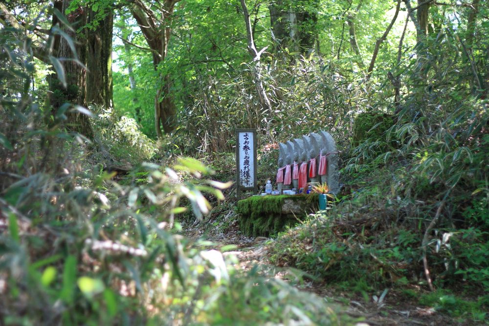 金剛山の画像 - 3枚目