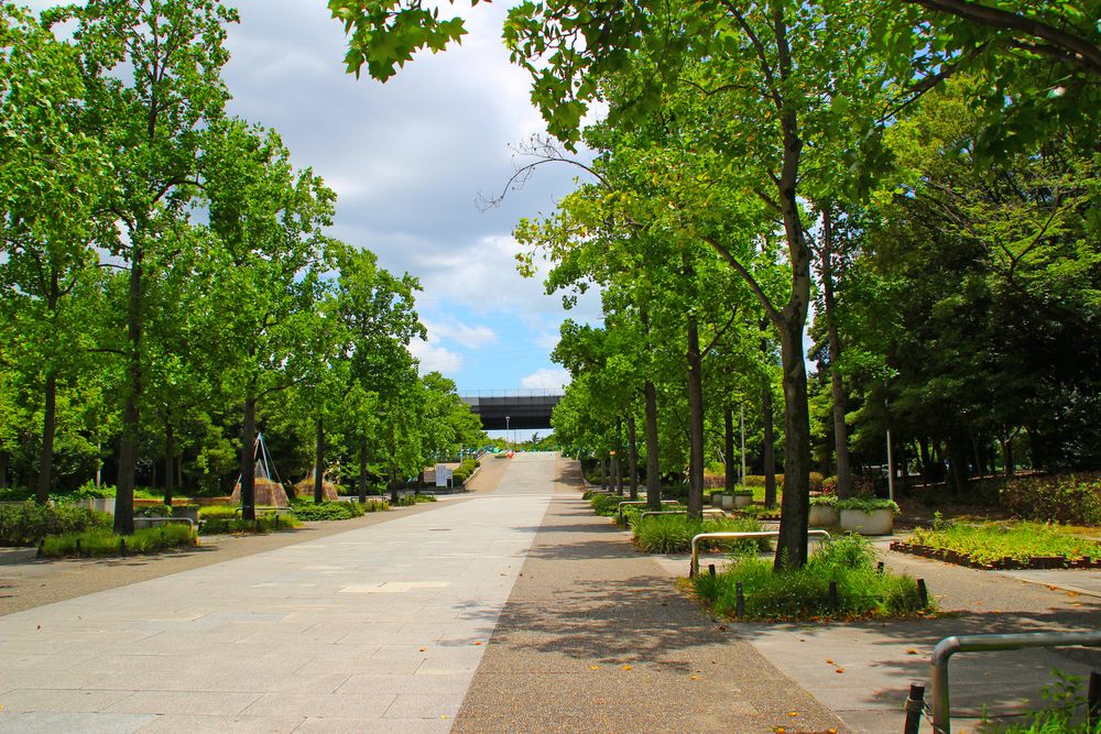 緑の公園 うみかぜ公園／ホームメイト