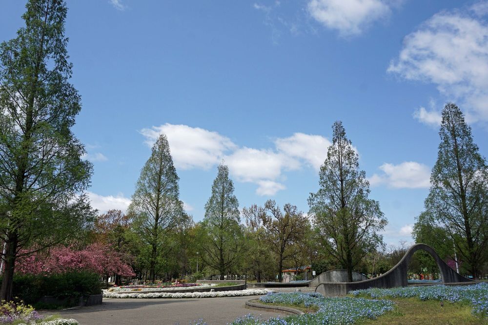 久宝寺緑地の画像 - 5枚目