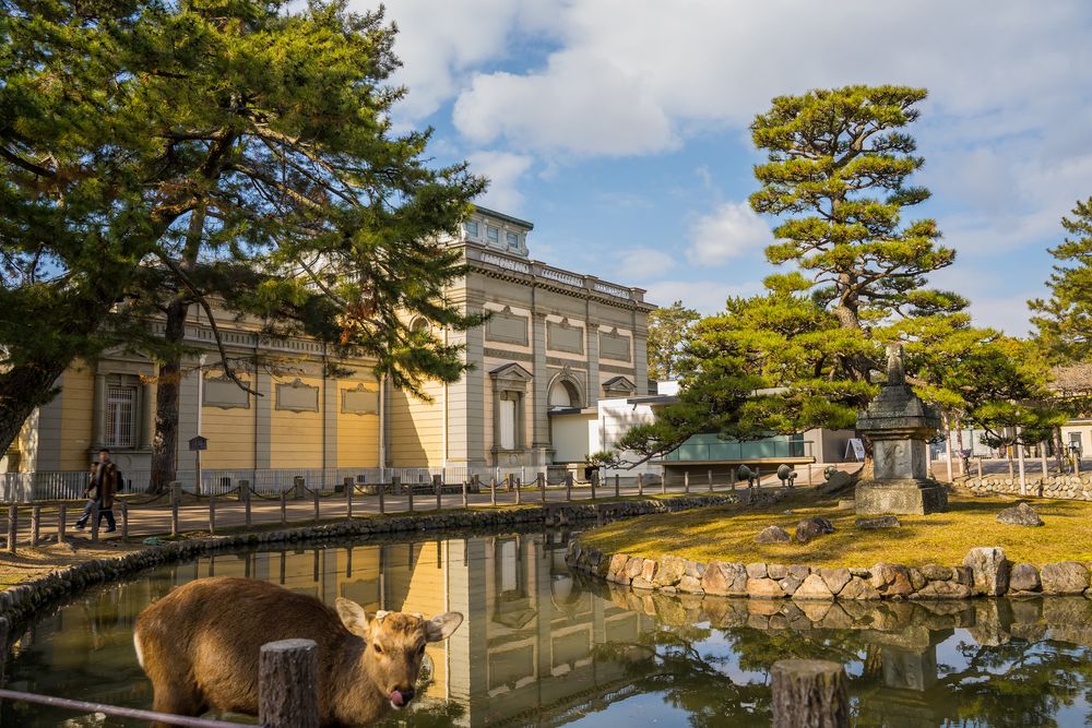 奈良国立博物館の画像 - 3枚目