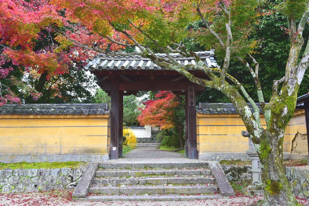 秋篠寺の画像 - 2枚目