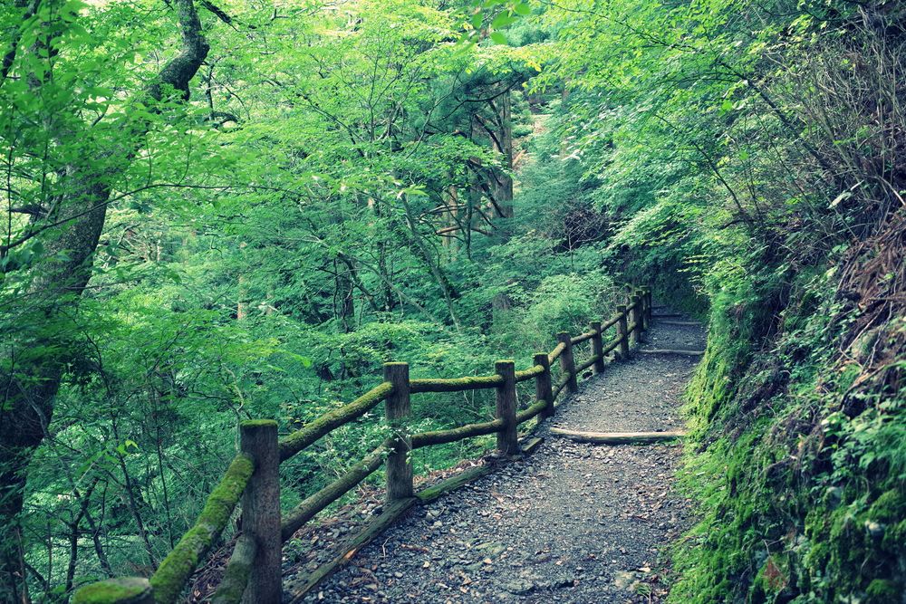 玉置山の画像 - 2枚目