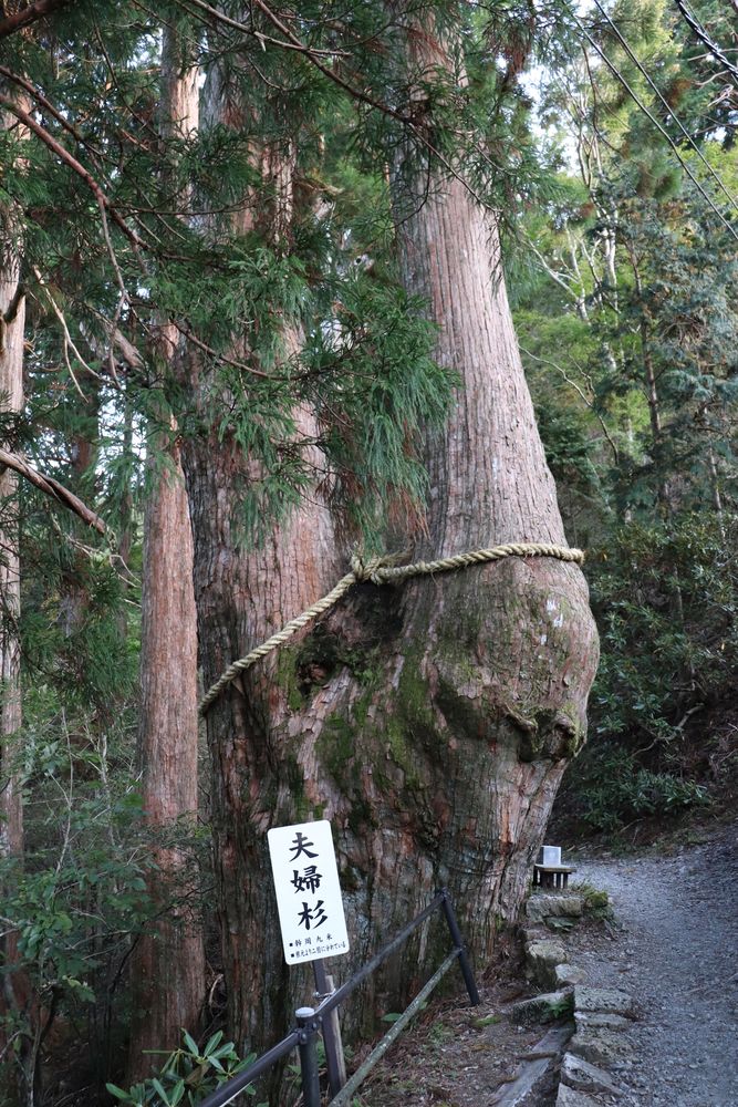 玉置山の画像 - 4枚目