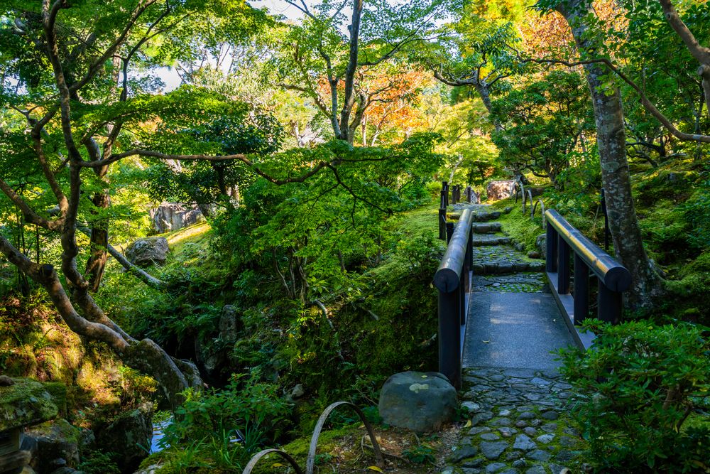 吉城園の画像 - 3枚目
