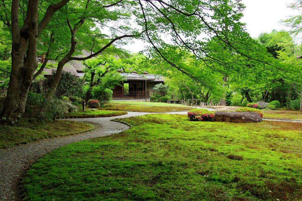 吉城園の画像 - 4枚目