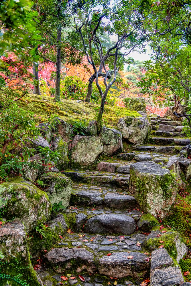 吉城園の画像 - 5枚目