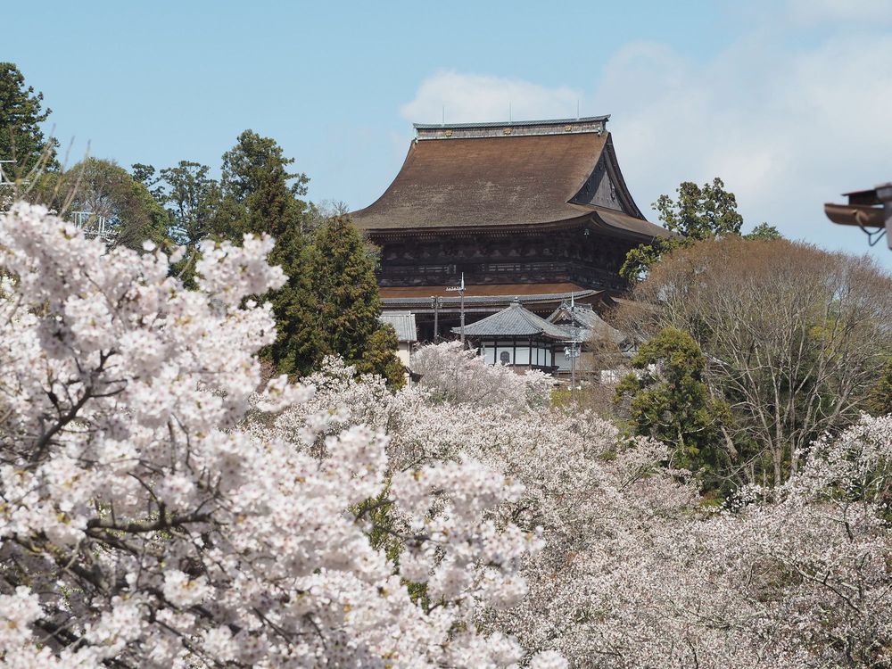 金峯山寺本堂（蔵王堂）の画像 - 4枚目