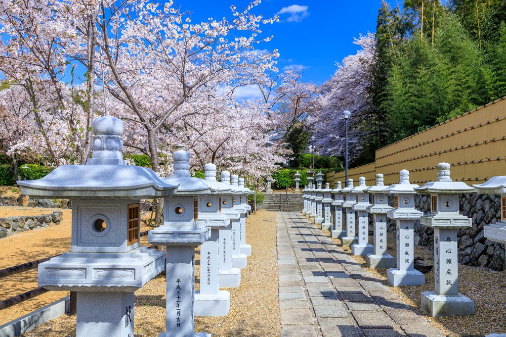 安倍文殊院の画像 - 5枚目