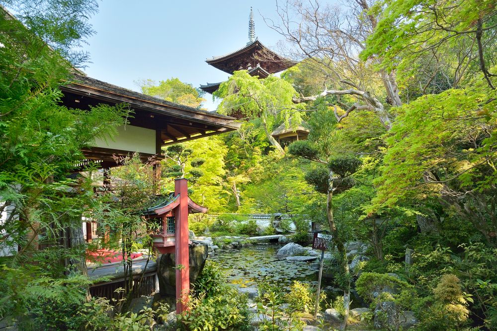 當麻寺中之坊の画像 - 2枚目