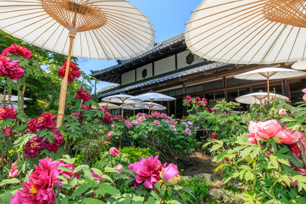 當麻寺中之坊