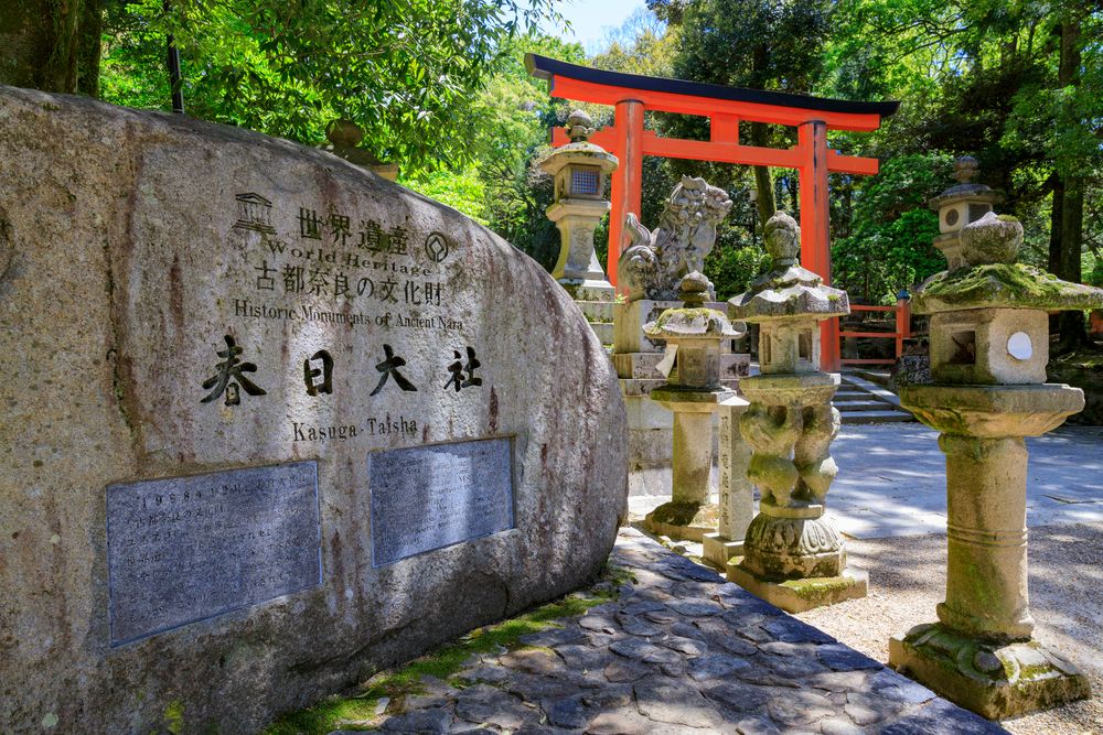 春日大社の砂ずりの藤の画像 - 5枚目