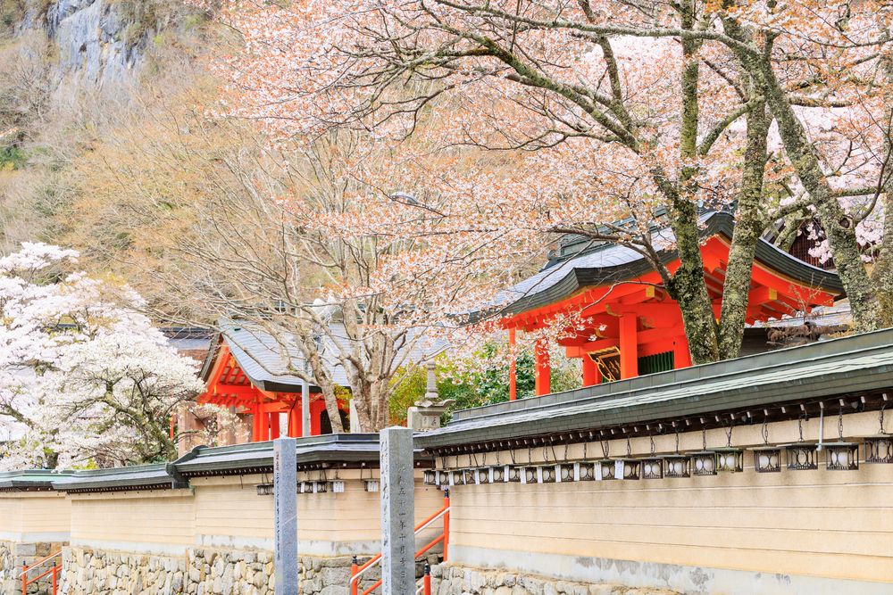 龍泉寺の画像 - 2枚目