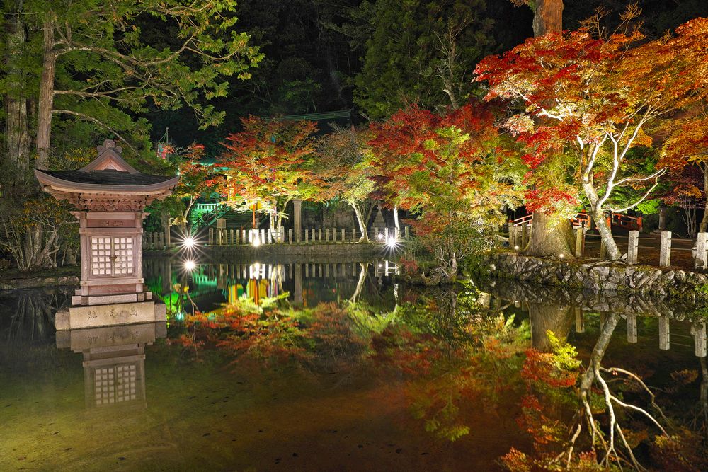 龍泉寺の画像 - 5枚目