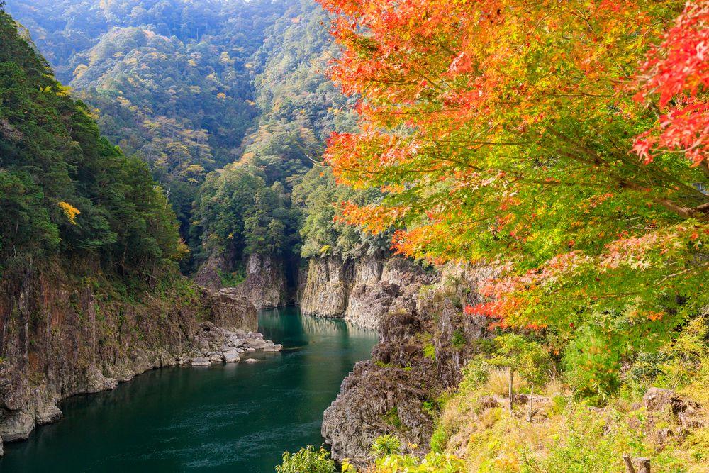 瀞峡の画像 - 4枚目