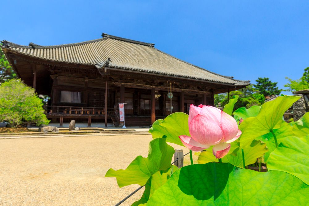 西大寺の画像 - 5枚目