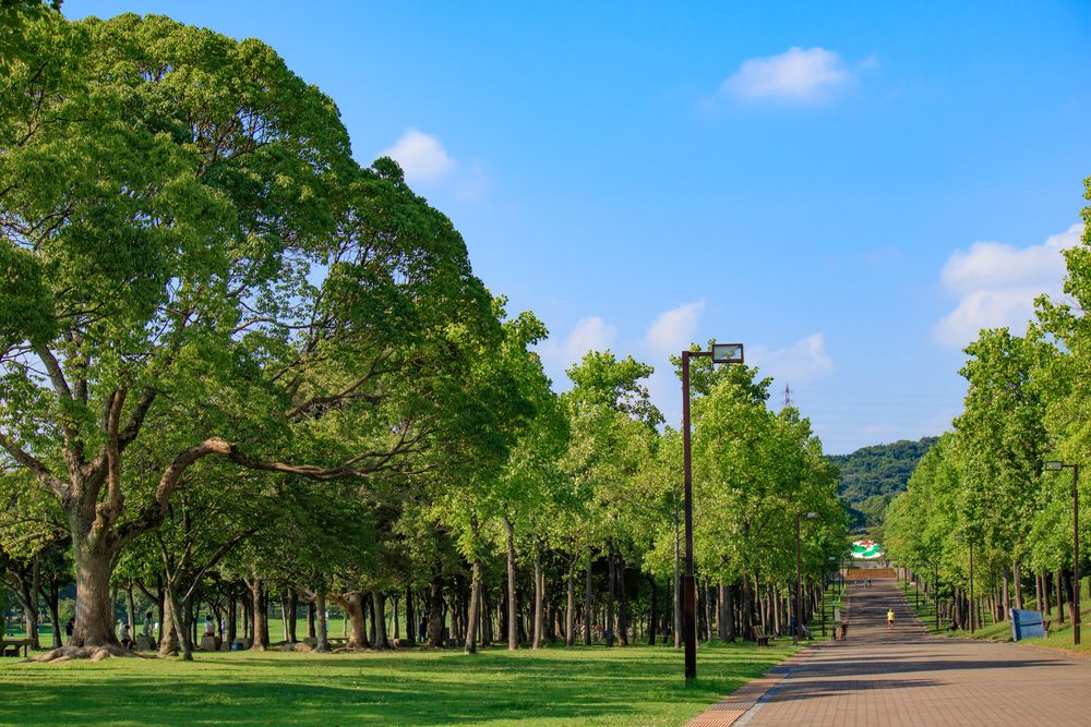 しあわせの村の画像 - 2枚目