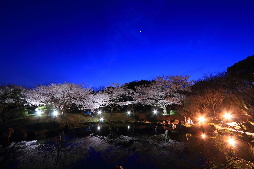 しあわせの村の画像 - 4枚目