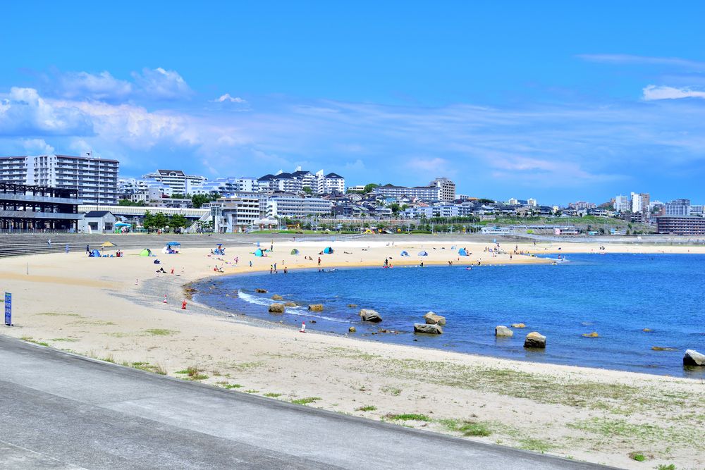 大蔵海岸の画像 - 2枚目