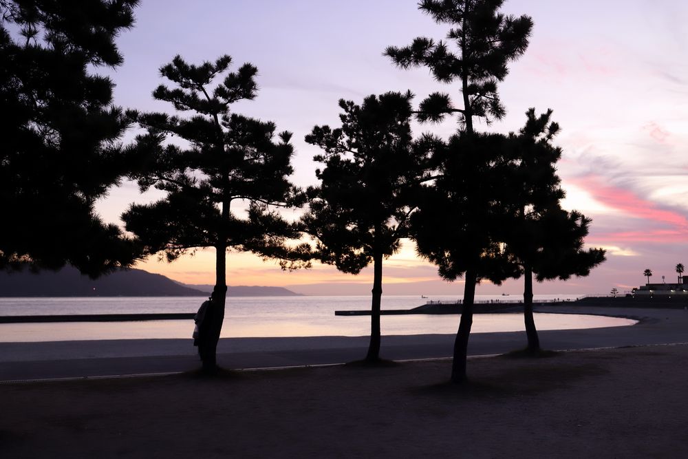 大蔵海岸の画像 - 4枚目