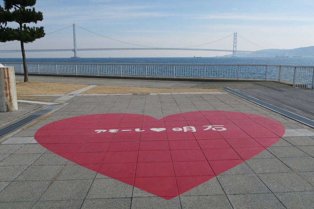 大蔵海岸の画像 - 5枚目