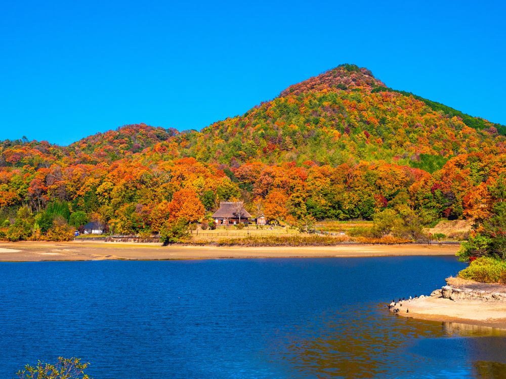 兵庫県立有馬富士公園の画像 - 3枚目