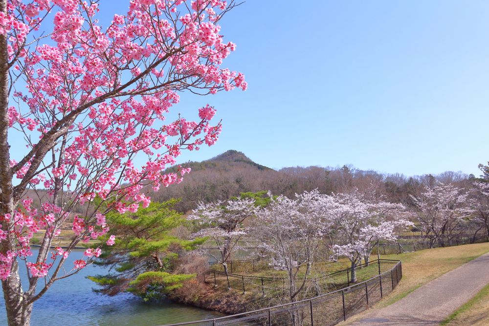 兵庫県立有馬富士公園の画像 - 5枚目