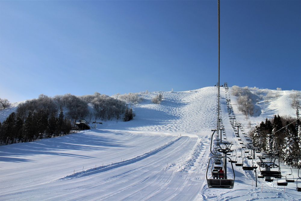 ハチ北高原の画像 - 3枚目