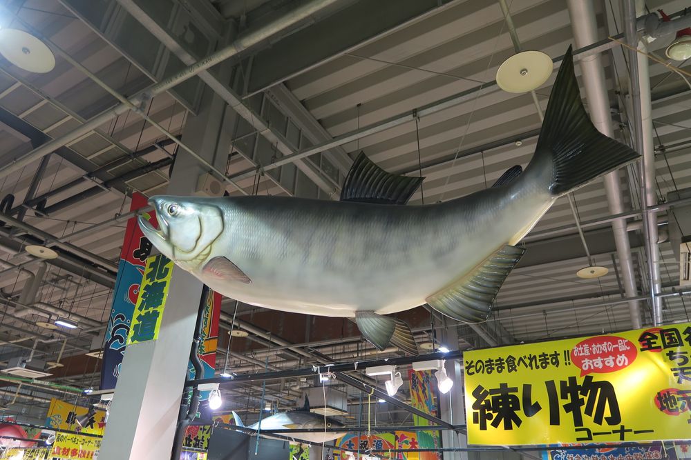 とれとれ市場南紀白浜の画像 - 3枚目